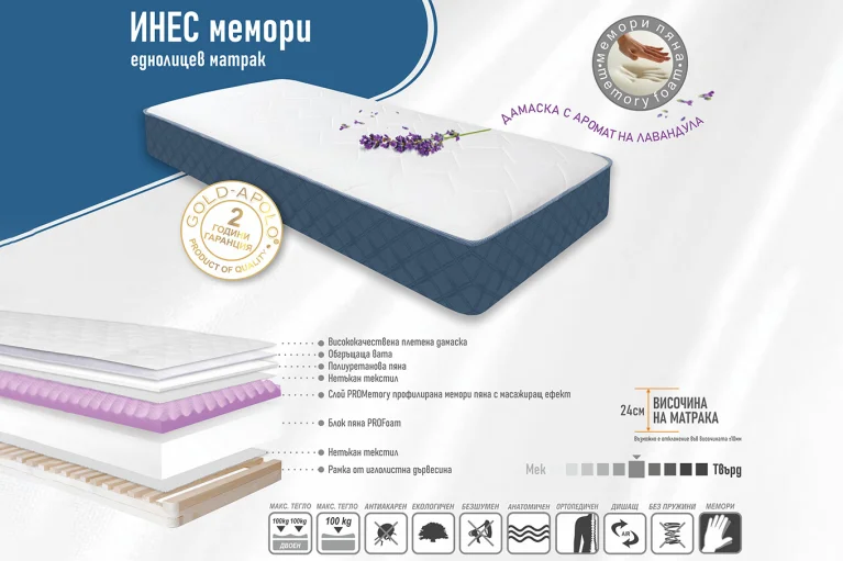 Характеристики и структура Инес мемори